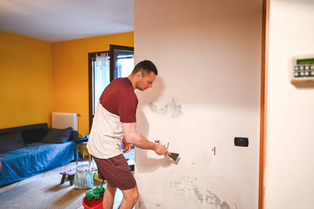 Best Commercial Mold Remediation in Hallsville, TX